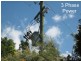Mullumbimby NSW 2482