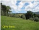 Mullumbimby NSW 2482