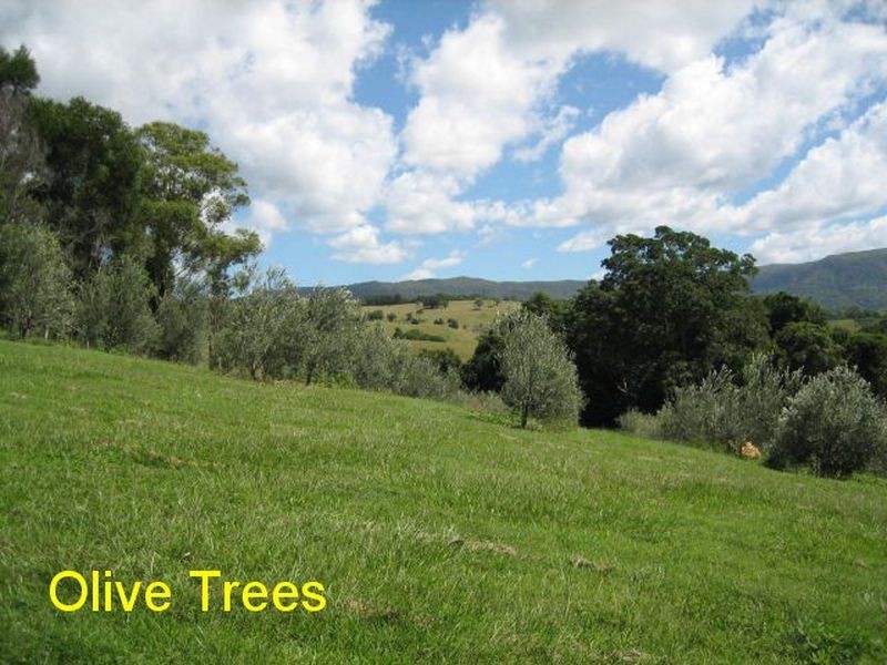 Mullumbimby NSW 2482
