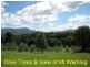 Mullumbimby NSW 2482