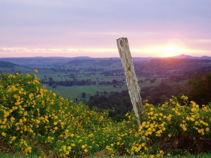 39 Barrys Road, Modanville NSW 2480