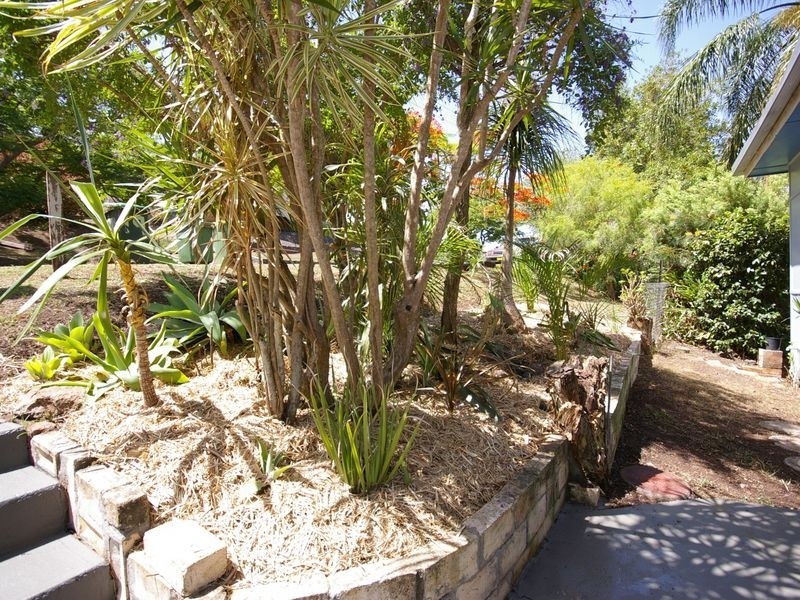 19 Cooling St, Lismore Heights NSW 2480