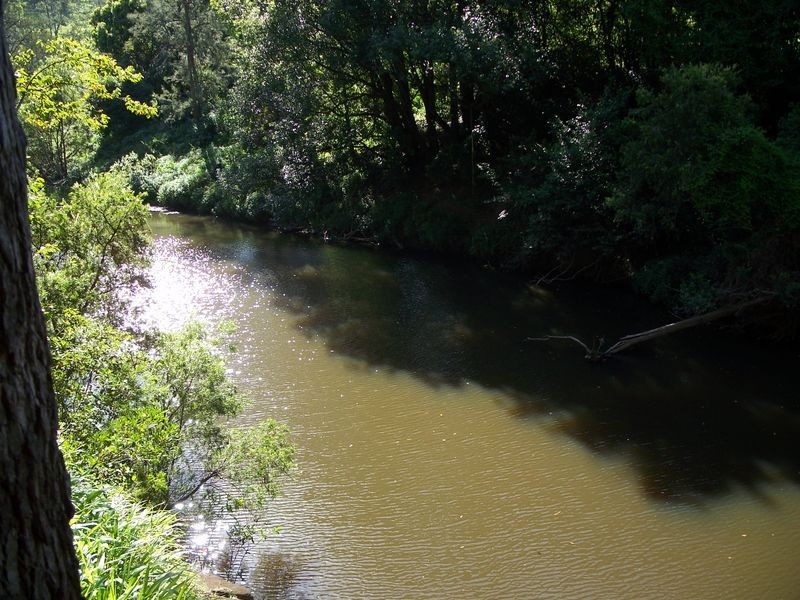 Lismore NSW 2480