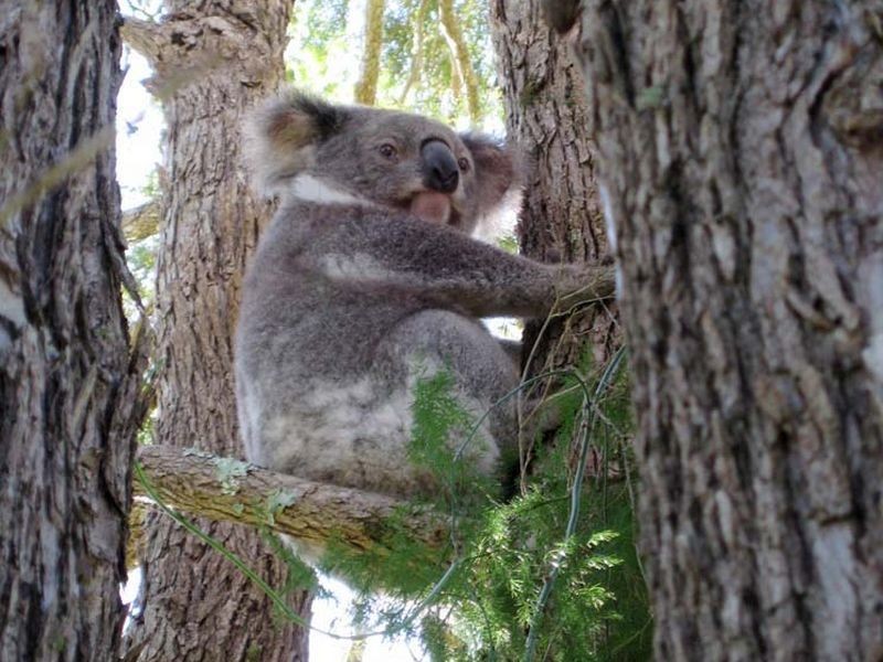 380b Keen Street, Lismore NSW 2480