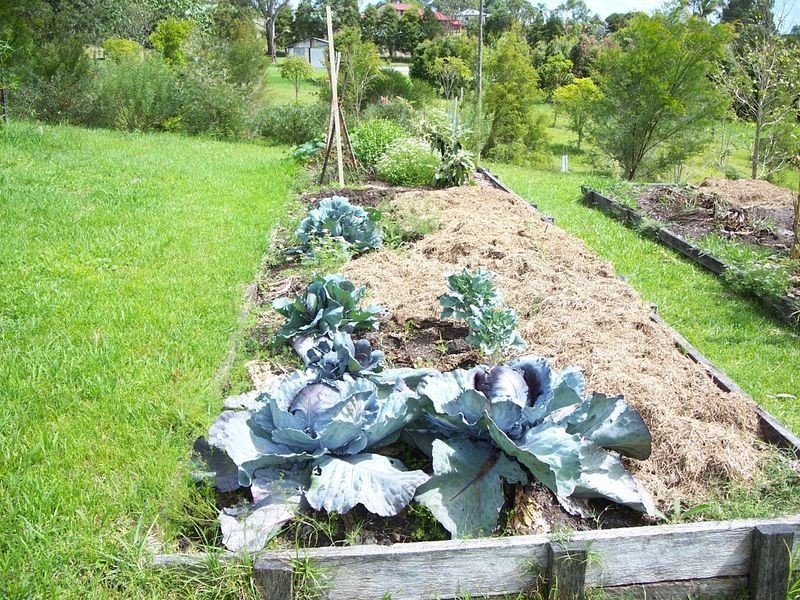 380b Keen Street, Lismore NSW 2480