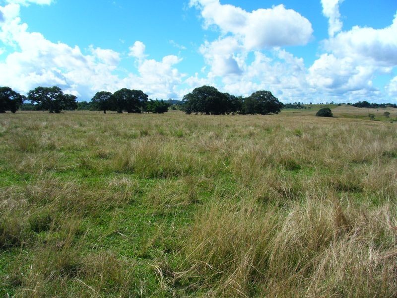 Mckees Hill NSW 2480