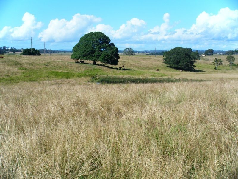 Mckees Hill NSW 2480