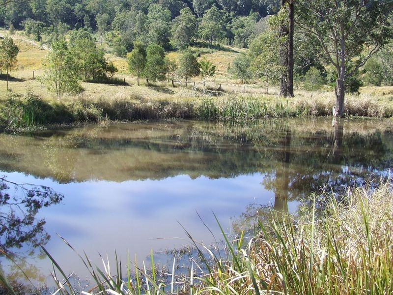 227 Warby Road, Lismore NSW 2480