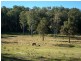Casino NSW 2470