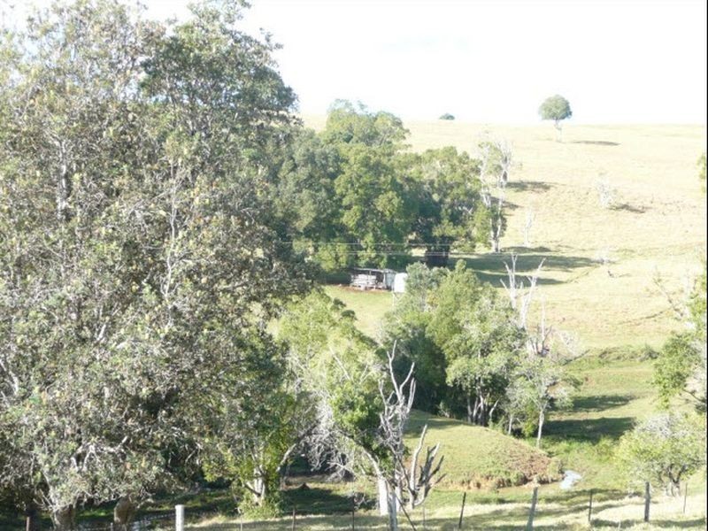 2 Taylor Road, Bentley NSW 2480