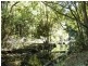567 Skyline Road, Goonellabah NSW 2480