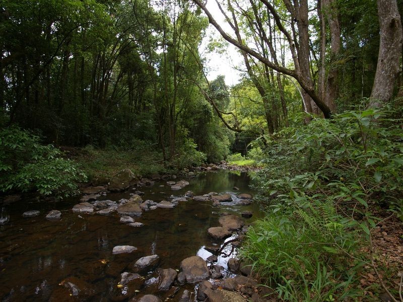 567 Skyline Road, Goonellabah NSW 2480