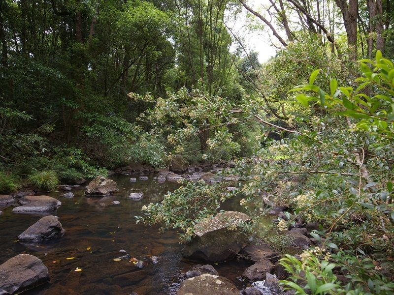 567 Skyline Road, Goonellabah NSW 2480