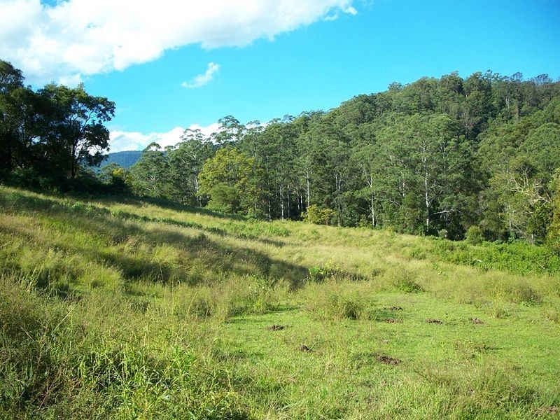 Kyogle NSW 2474