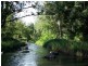 Kyogle NSW 2474