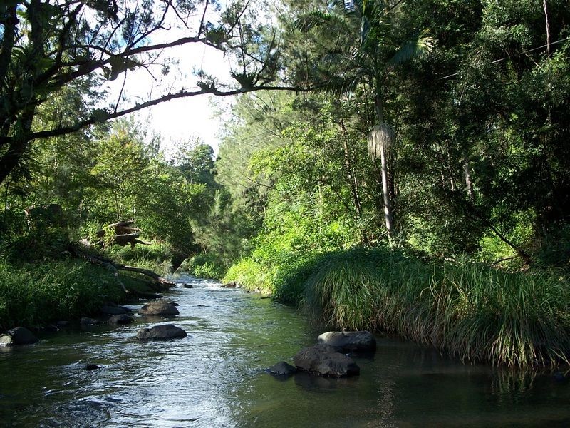Kyogle NSW 2474