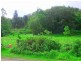 Kyogle NSW 2474