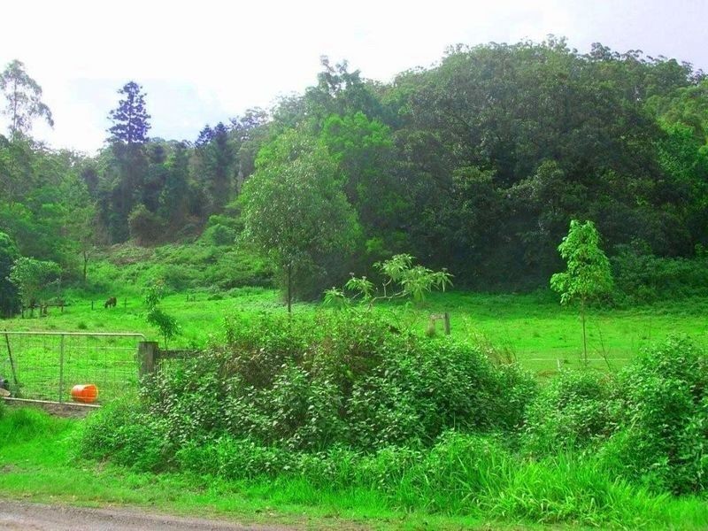 Kyogle NSW 2474