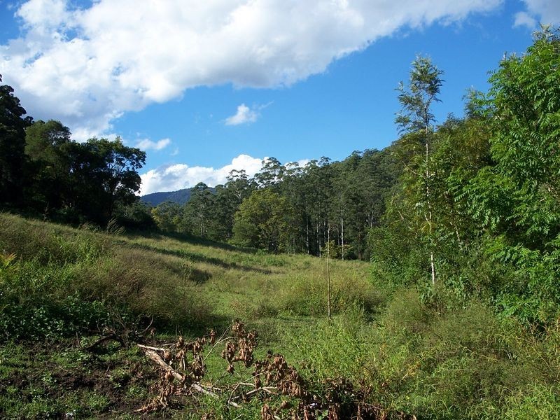 Kyogle NSW 2474