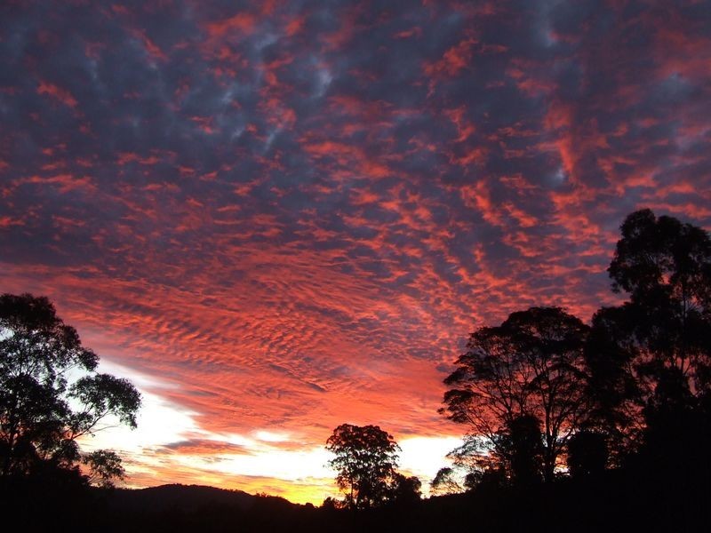 1 Zouch Road, Nimbin NSW 2480