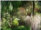 Nimbin NSW 2480