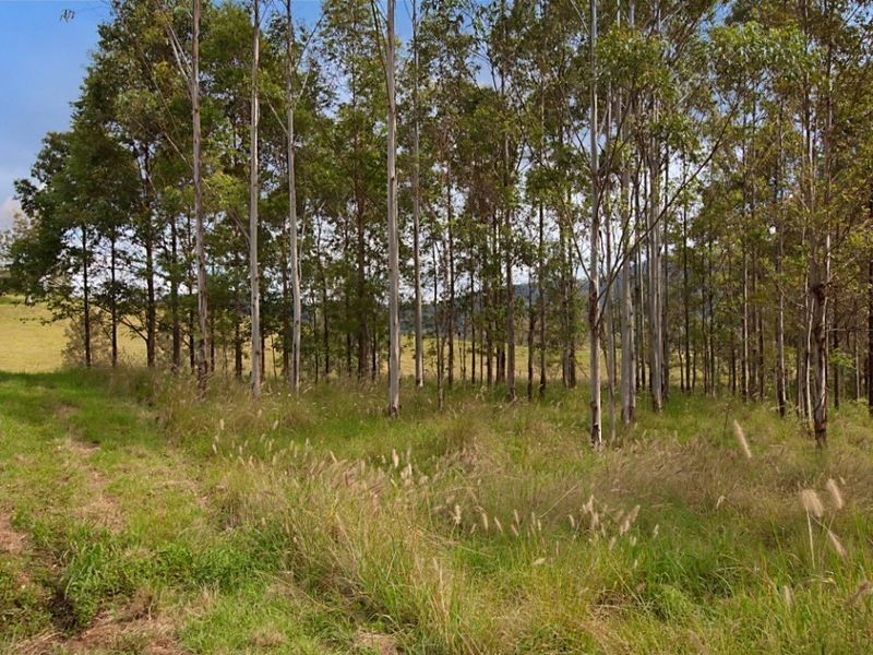 Rock Valley NSW 2480