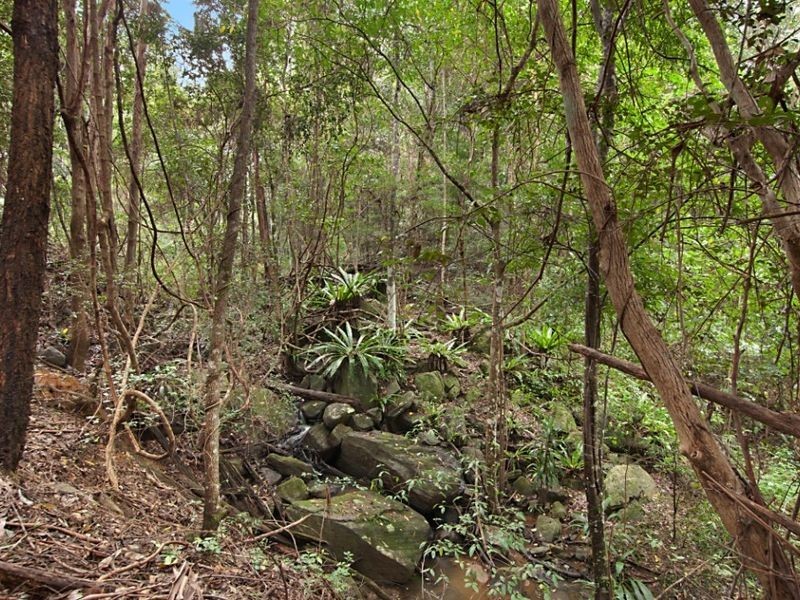 Rock Valley NSW 2480