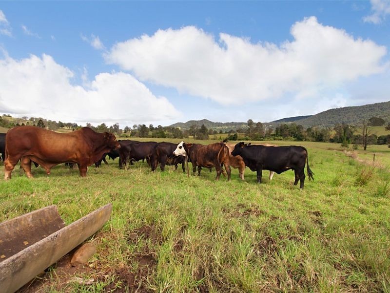 Rock Valley NSW 2480