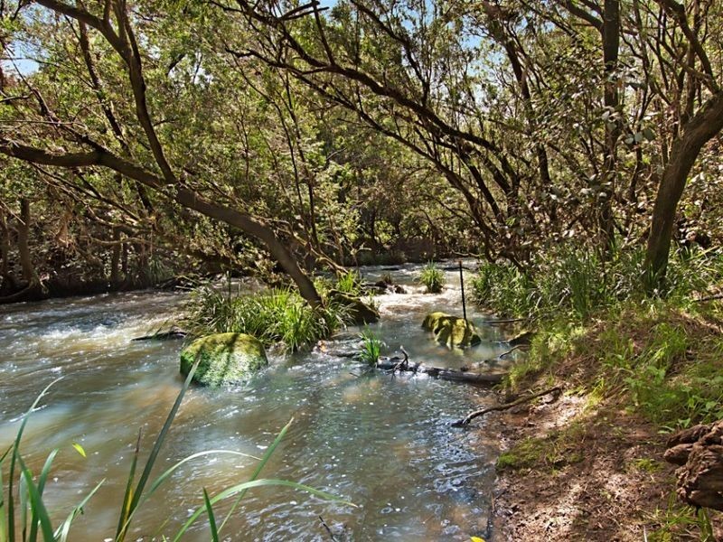 Rock Valley NSW 2480