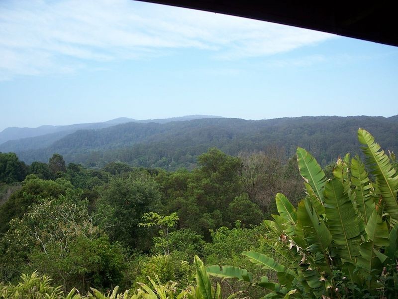 The Channon NSW 2480