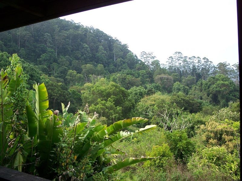 The Channon NSW 2480