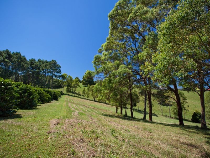 1481 Bangalow Road, Clunes NSW 2480