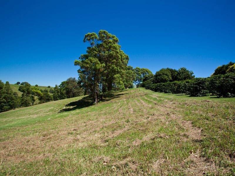 1481 Bangalow Road, Clunes NSW 2480