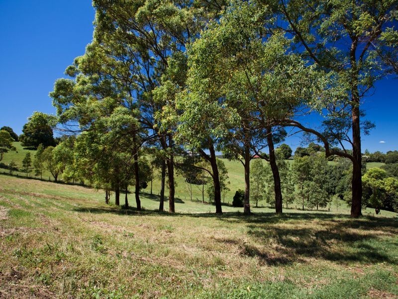 1481 Bangalow Road, Clunes NSW 2480