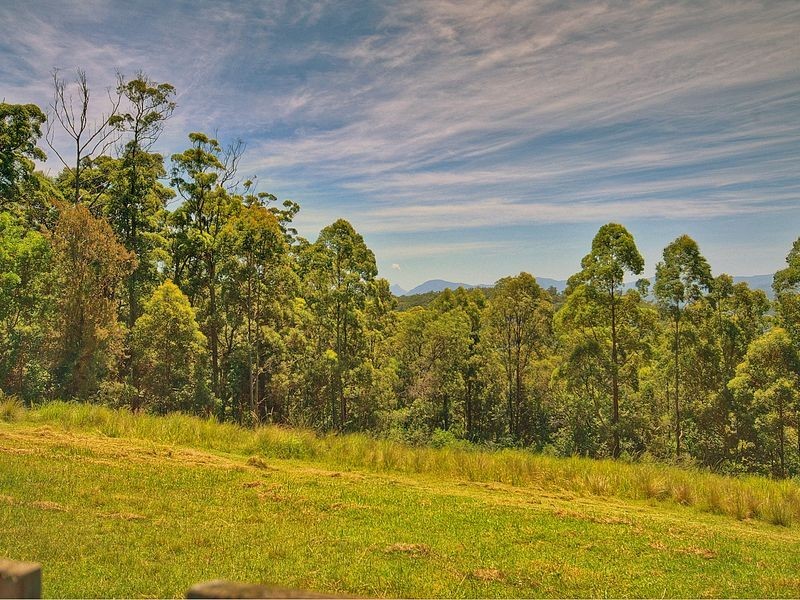 805 O’Neills Road, Bentley NSW 2480