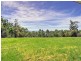 805 O’Neills Road, Bentley NSW 2480