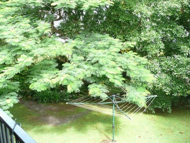 51 Ross Street, Lismore Heights NSW 2480