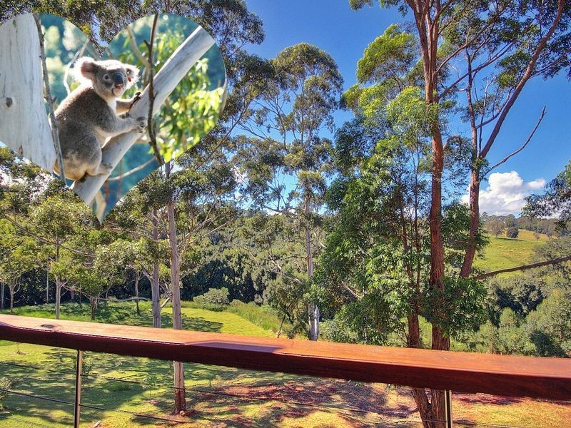 31 Forestoak Way, Goonellabah NSW 2480