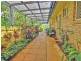 33 Sheridan Drive, Goonellabah NSW 2480