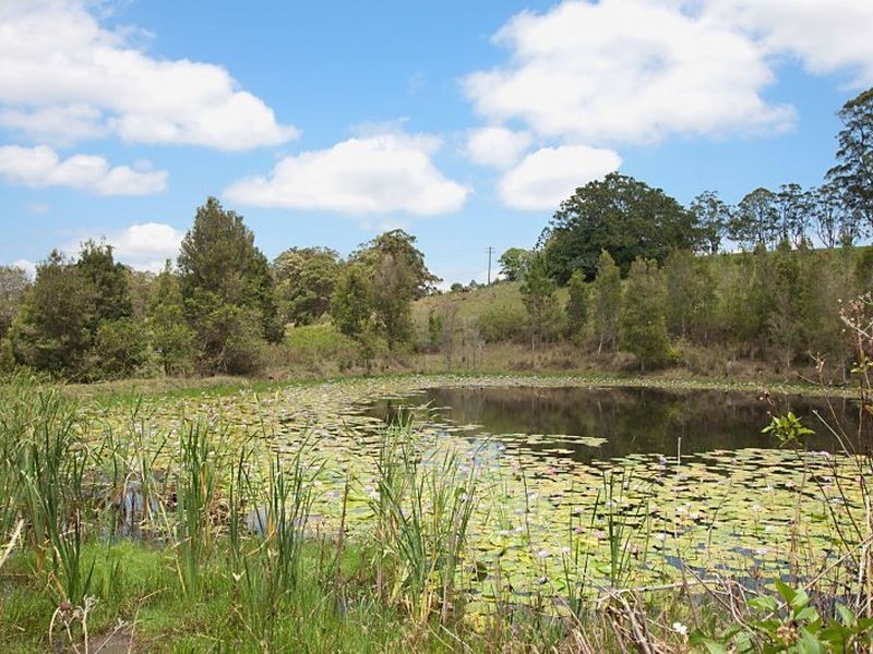 604 Dunoon Road, Tullera NSW 2480