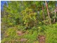 32 Nimbin Street, The Channon NSW 2480