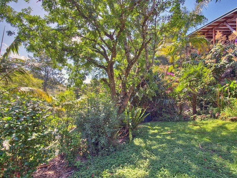 32 Nimbin Street, The Channon NSW 2480