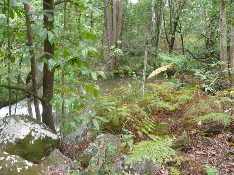 245A Connor Road, Tregeagle NSW 2480