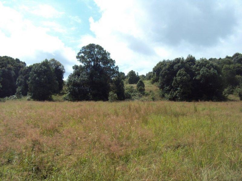 245A Connor Road, Tregeagle NSW 2480