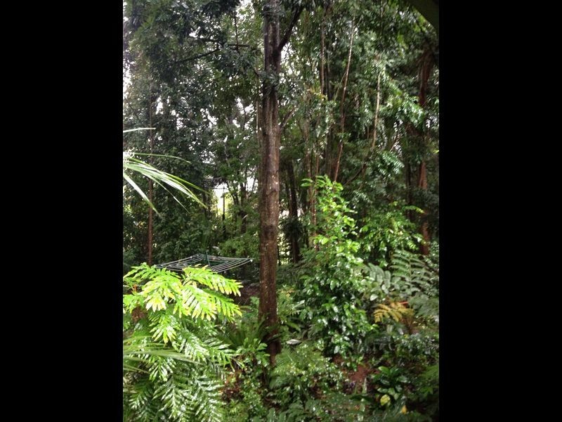 10 Mcintosh Road, Bentley NSW 2480