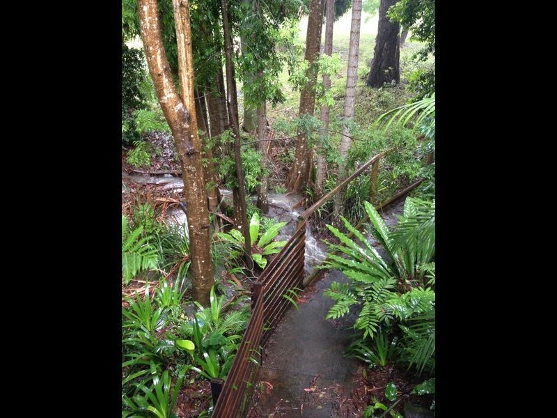 10 Mcintosh Road, Bentley NSW 2480