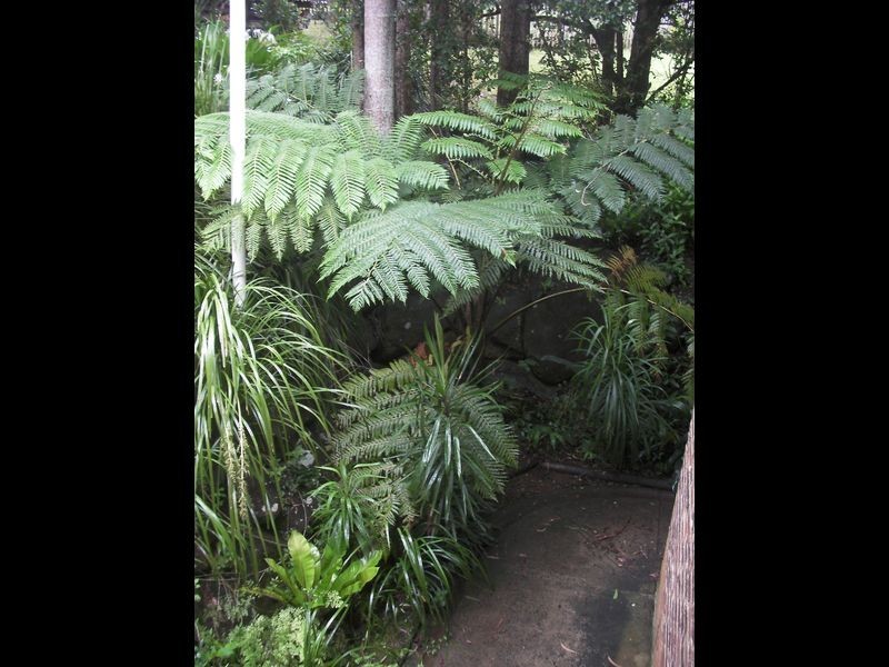 10 Mcintosh Road, Bentley NSW 2480