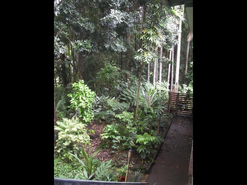 10 Mcintosh Road, Bentley NSW 2480