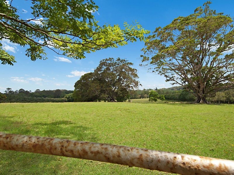 167 Cowlong Road, Mcleans Ridges NSW 2480