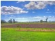 2208 Wyrallah Road, Tuckurimba NSW 2480